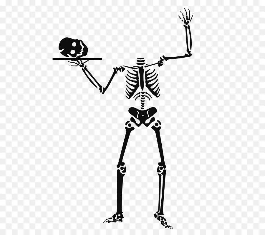 Halloween，Esqueleto Humano PNG