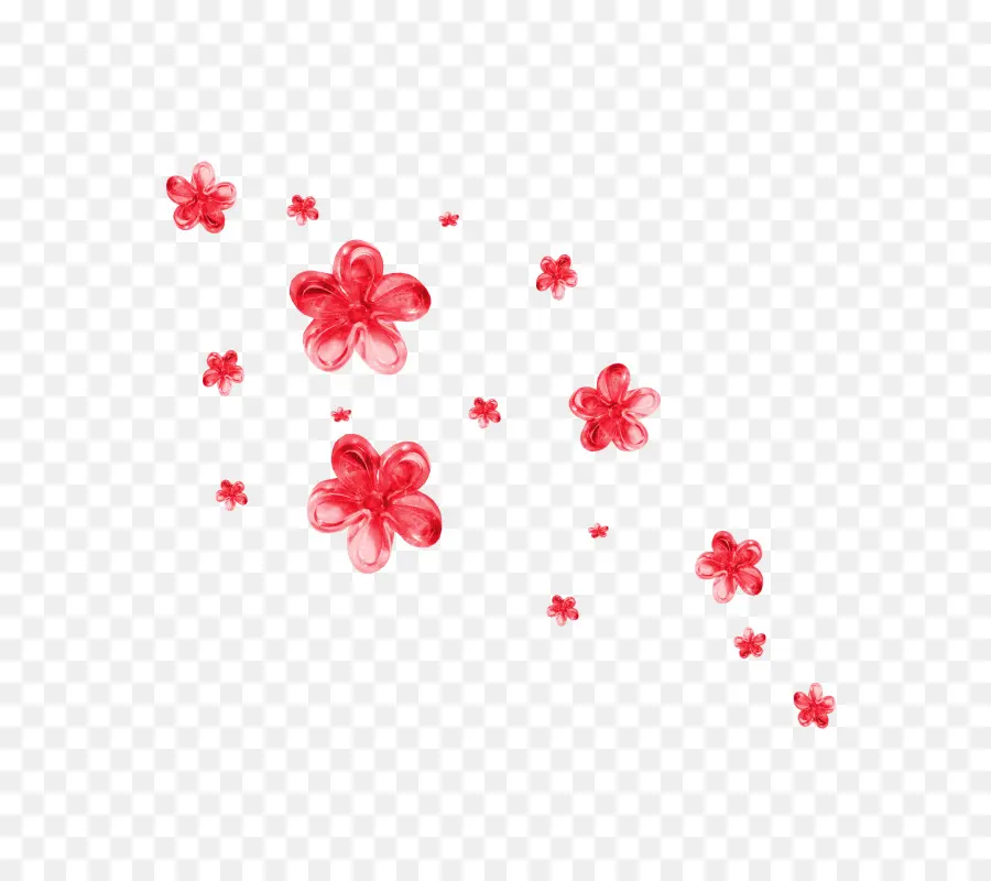 Flores Rojas，Florecer PNG