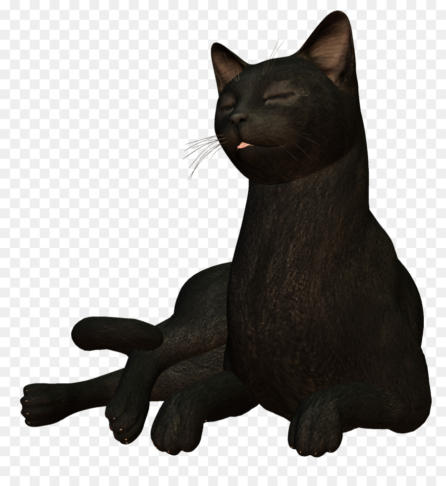 Gato，Gato Negro PNG