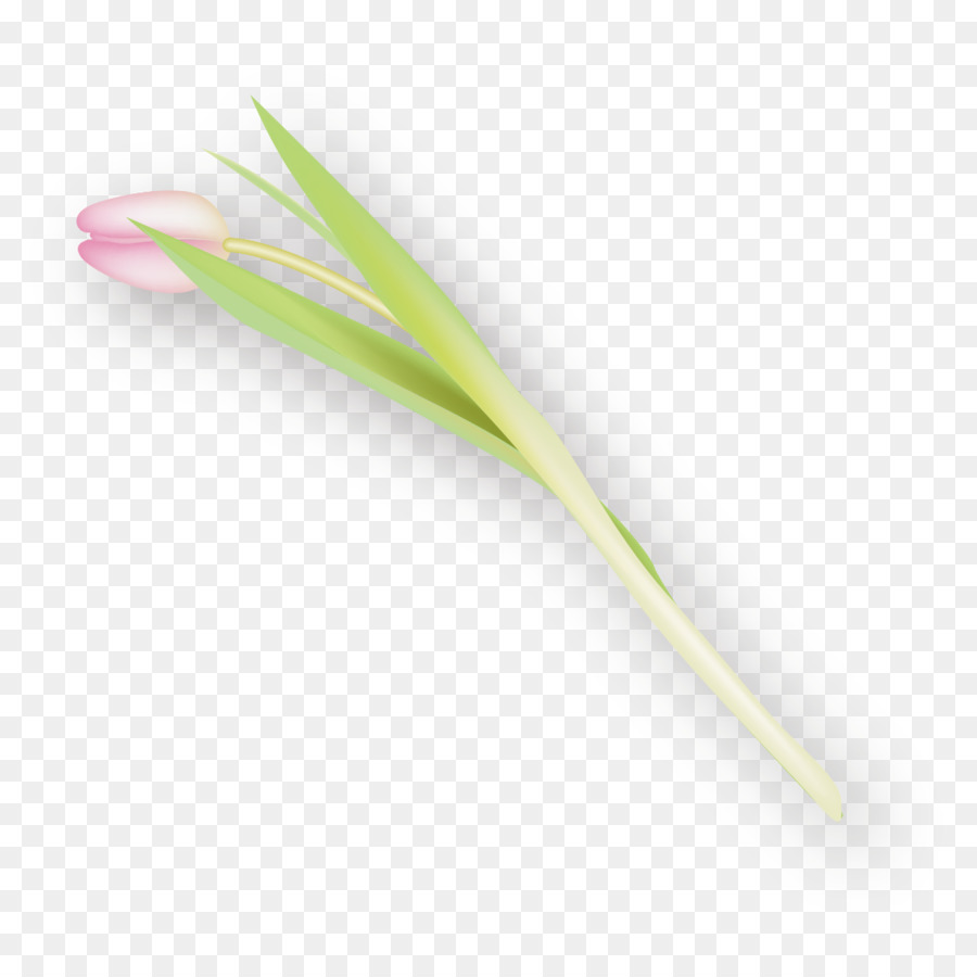 De La Mano，Material PNG