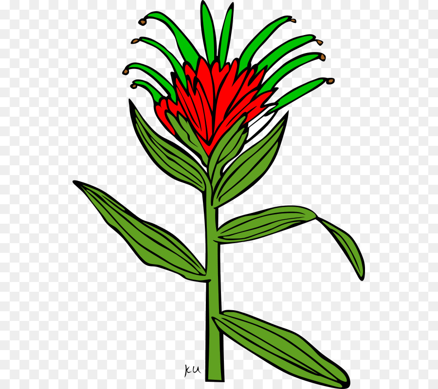 Castilleja Indivisa，Castilleja Miniata PNG