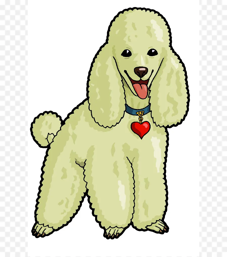 Caniche，Cachorro PNG