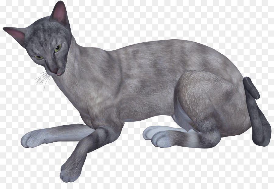 Gato Gris，Mascota PNG