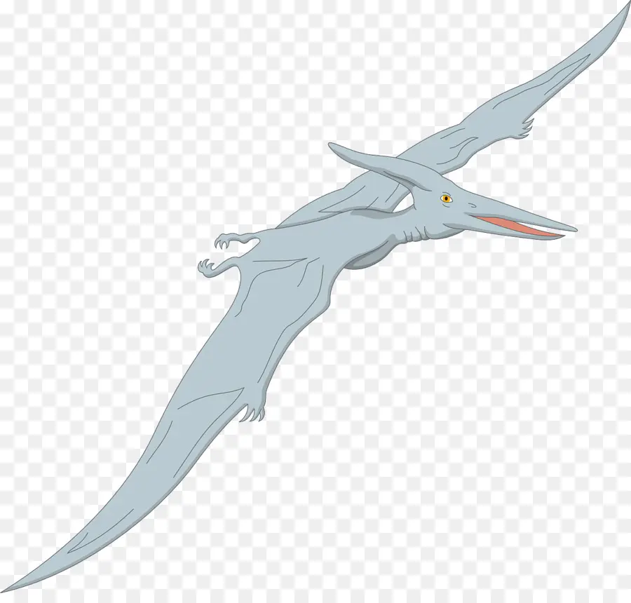 Pterodáctilos，Pteranodon PNG