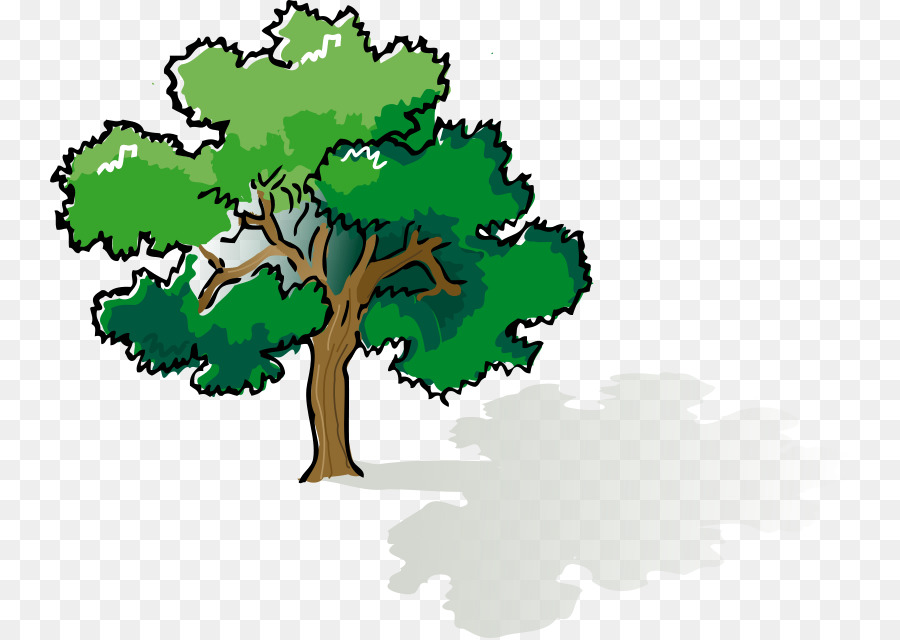 Árbol，Hojas PNG