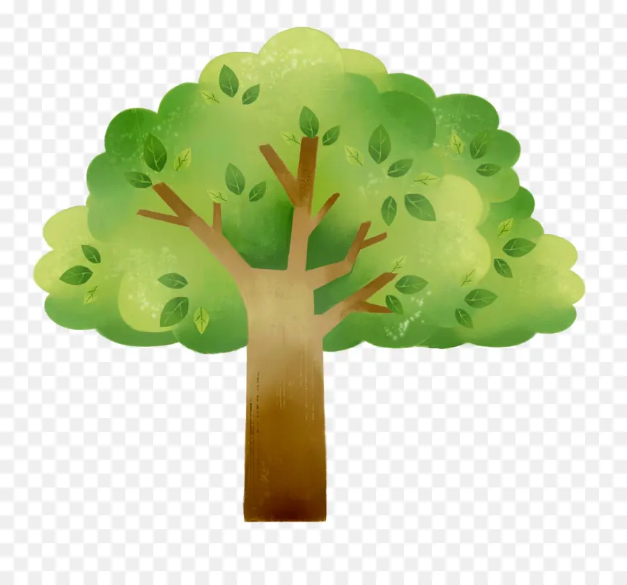 Árbol，Hojas PNG