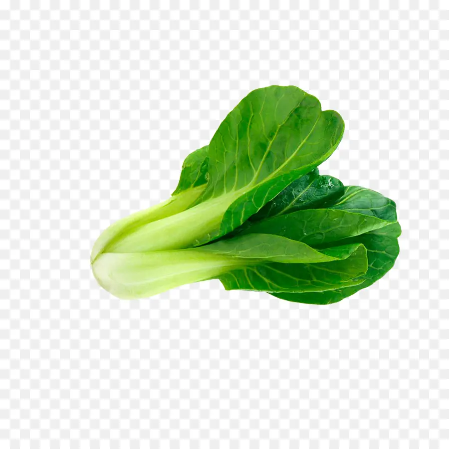 Bok Choi，Verde PNG