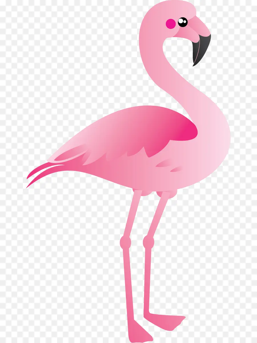 De Plástico Flamingo，Flamingo PNG