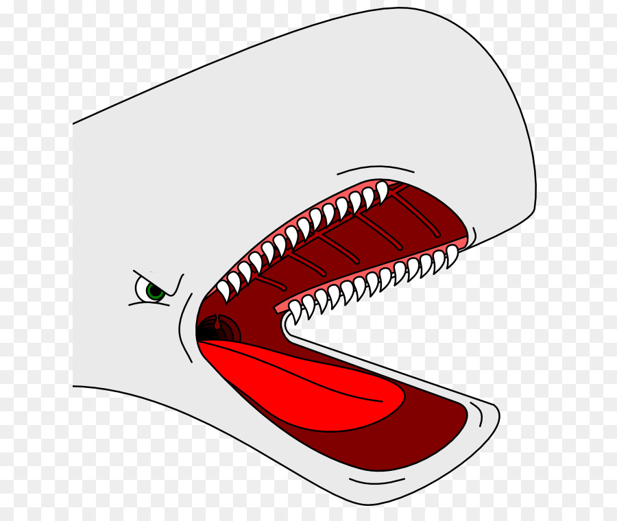 Ballena，De Dibujos Animados PNG