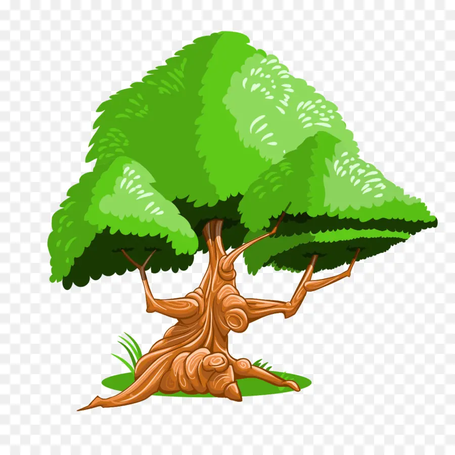 árbol，Verde PNG