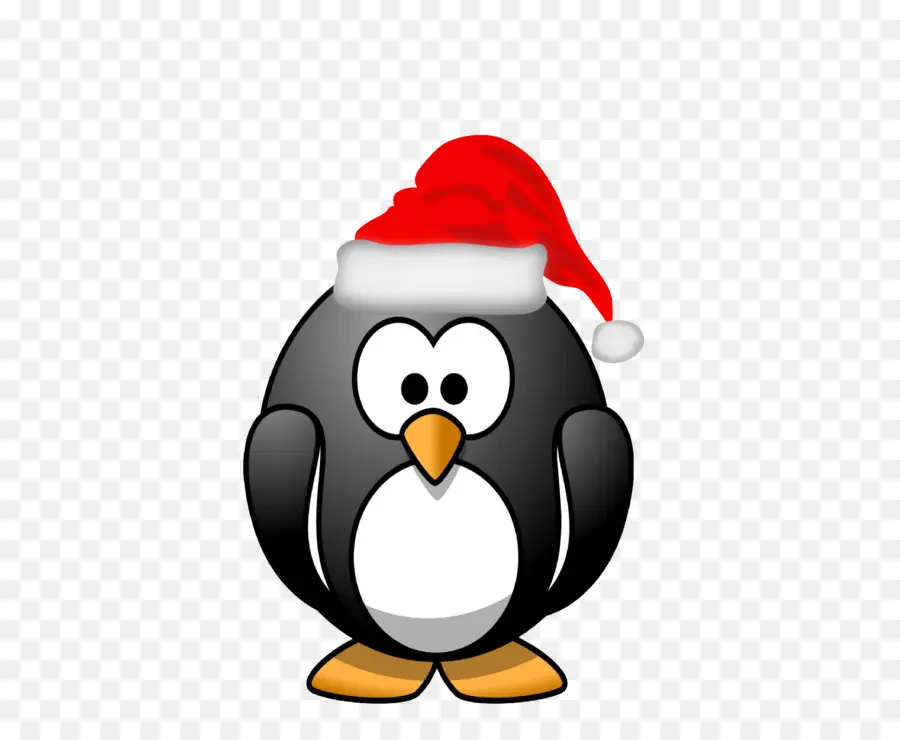 Penguin，Santa Claus PNG