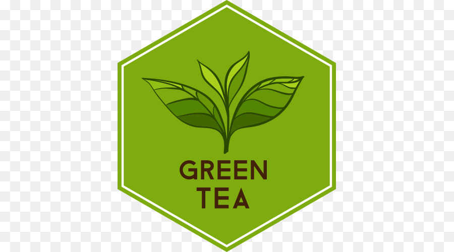 Té Verde，Beber PNG