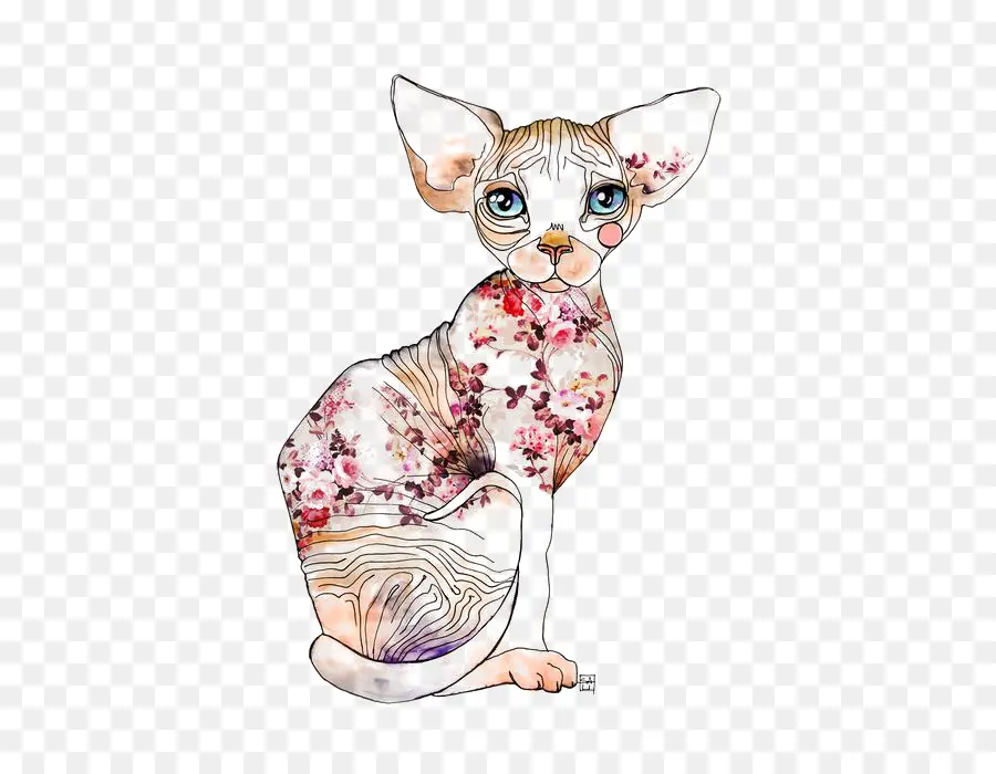 Gato Esfinge，Floral PNG