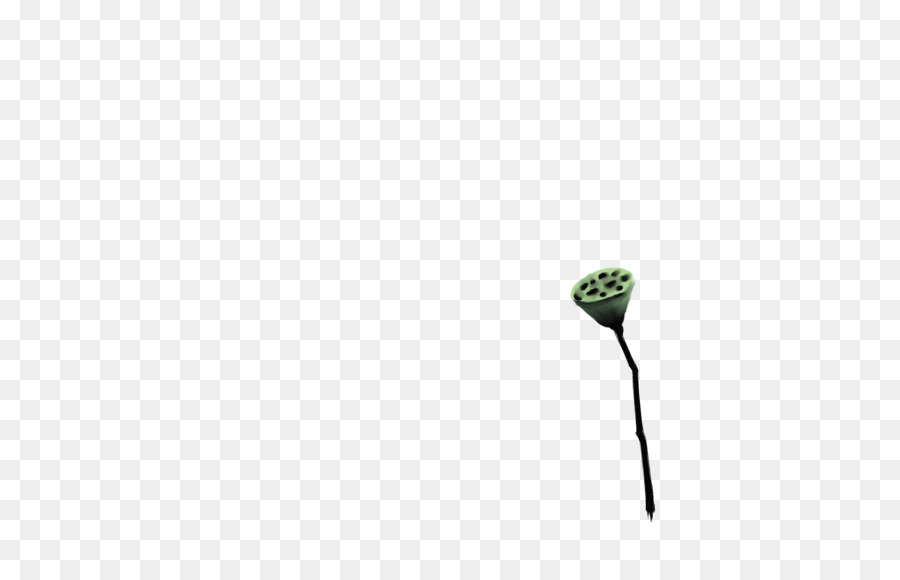 Hoja，Tallo De La Planta PNG