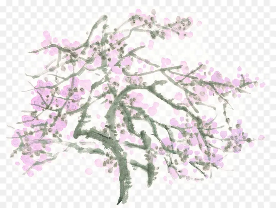 Árbol De Cerezo En Flor，Florecer PNG