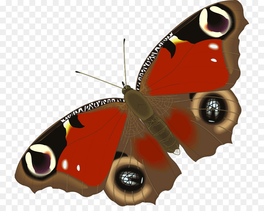 Mariposa，Animación PNG