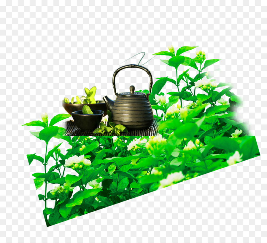 Té，Tetera PNG