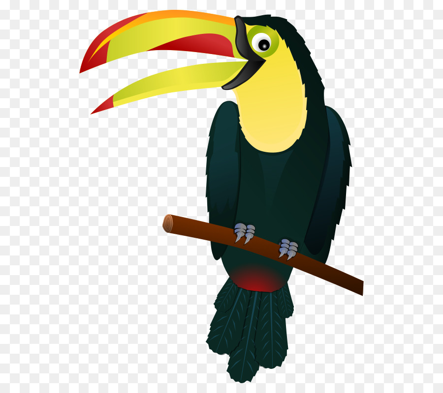 Pájaro，Pico PNG