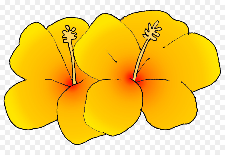 Flor，Amarillo PNG