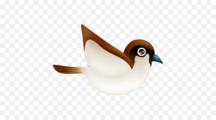 Pájaro，Vuelo PNG