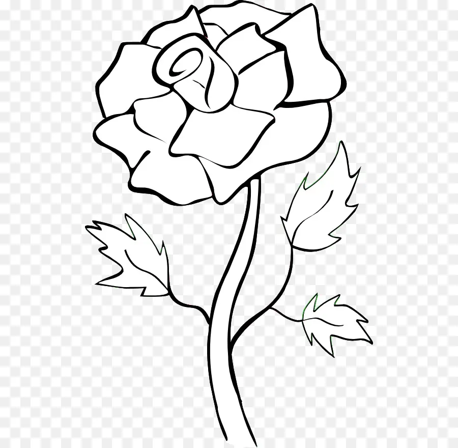 Rosa，Planta PNG