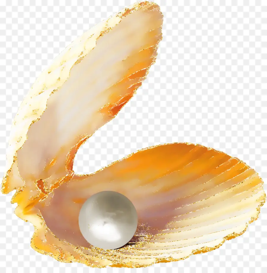 Ostras，Perla PNG