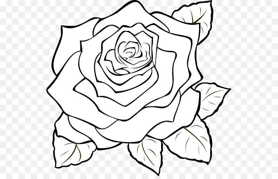 Rosa，Blanco PNG