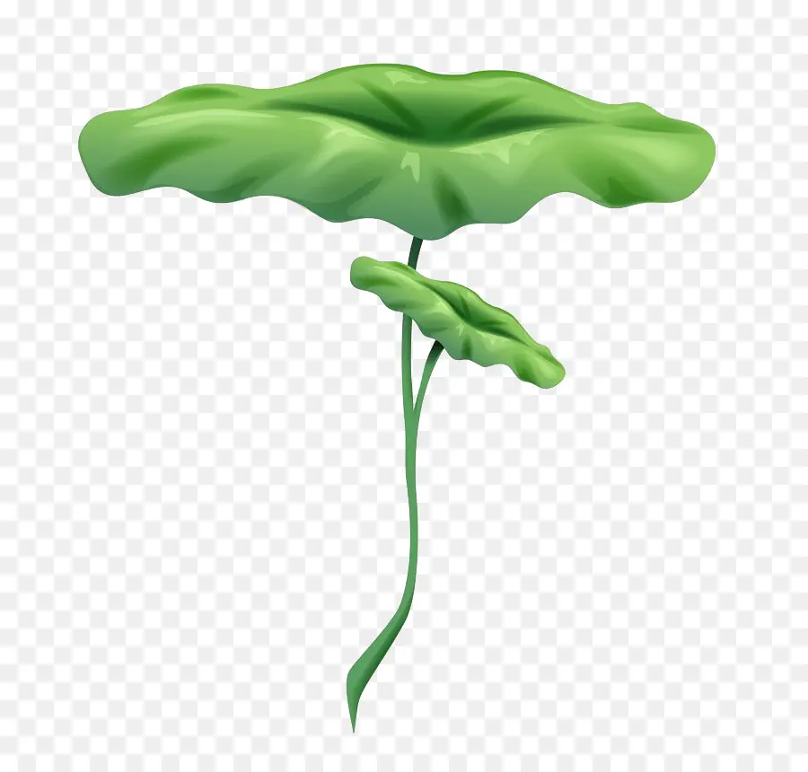 Dibujo，Hoja PNG