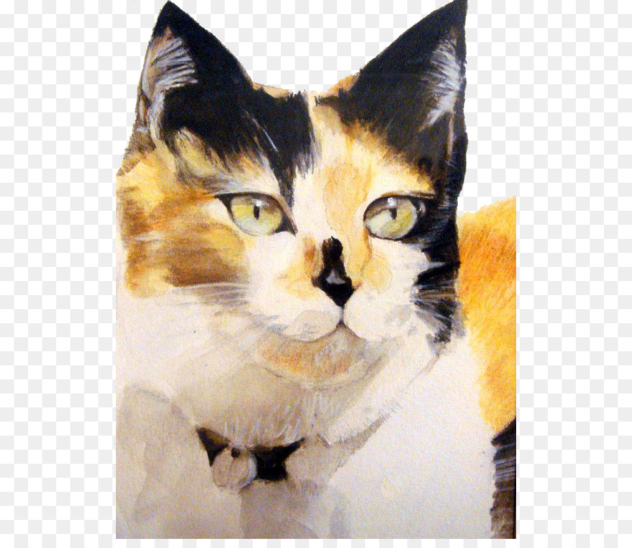 Pintura De Gato，Cuadro PNG