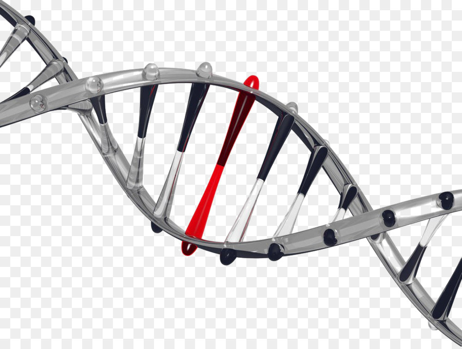 Está En Su Adn Desde El Descubrimiento A La Estructura De La Función Y Su Papel En La Evolución Del Cáncer Y El Envejecimiento，Código Moral PNG