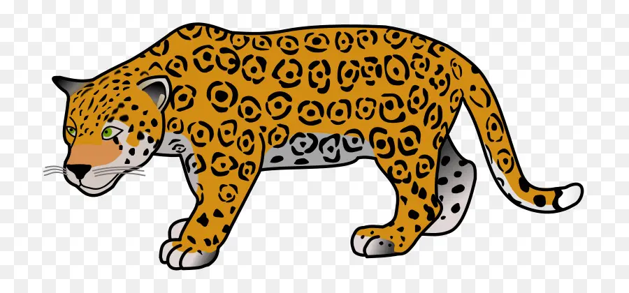 Jaguar，Leopard PNG