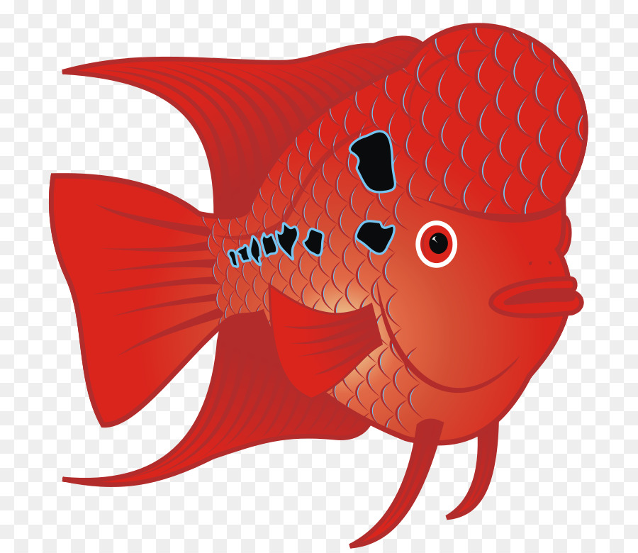 Pescado Rojo，Mar PNG