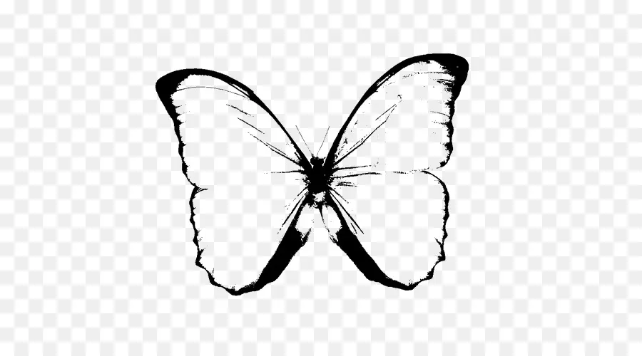 Mariposa，En Blanco Y Negro PNG