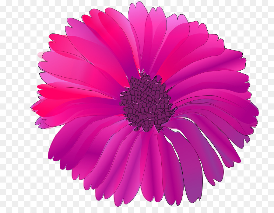 Flor，Flores De Color Rosa PNG