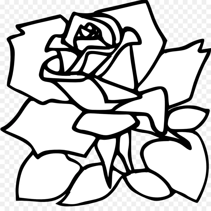 Rosa，Dibujo PNG