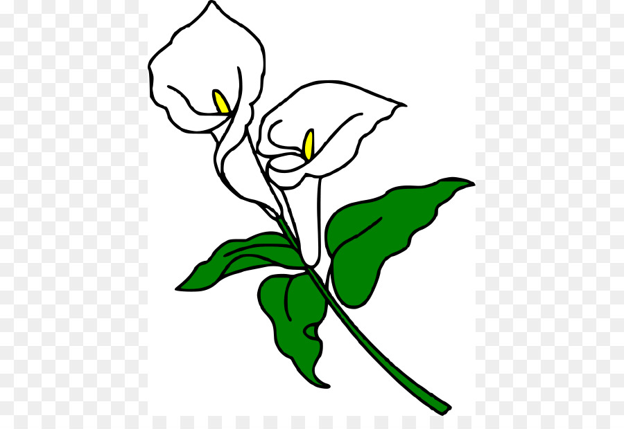 Flores Blancas，Hojas Verdes PNG