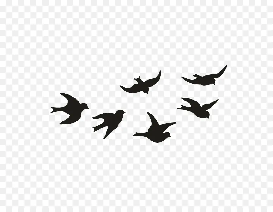 Aves，Vuelo PNG