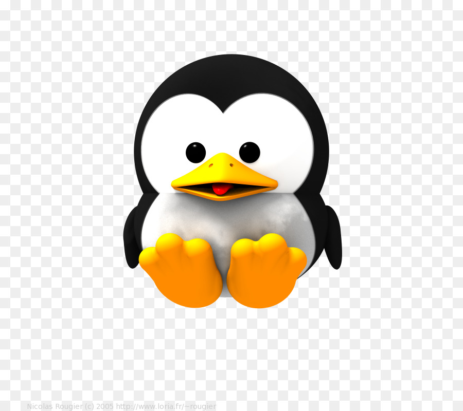 Pingüino，Lindo PNG