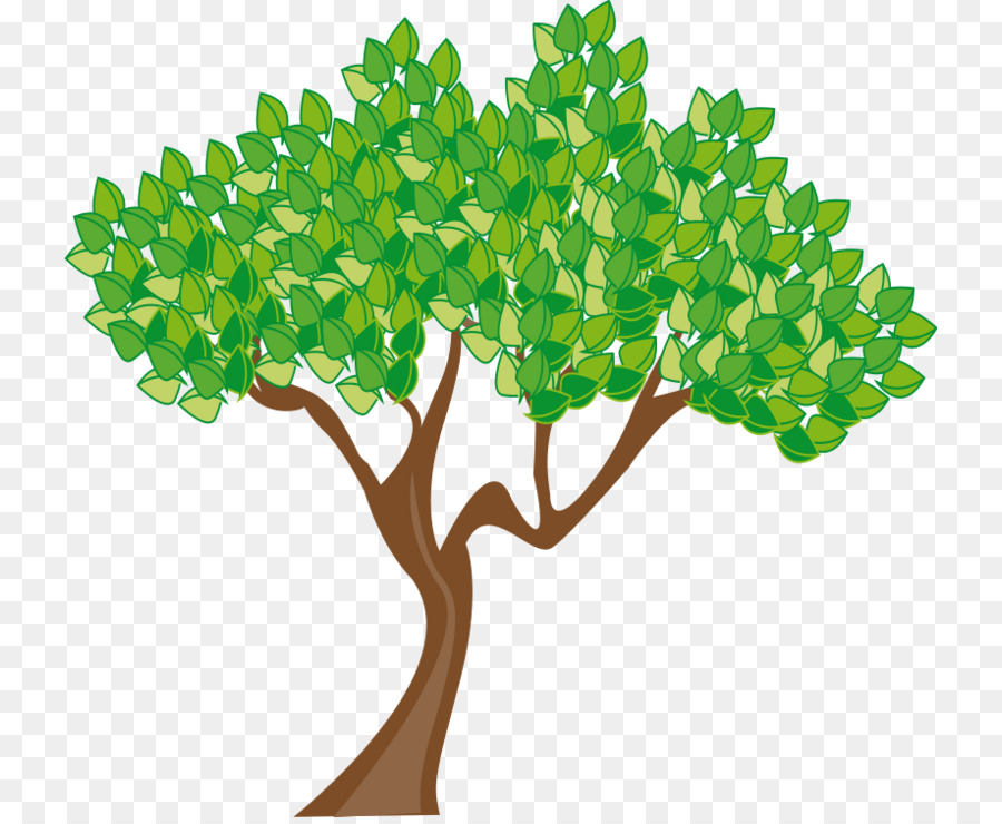 Árbol Bonsái，Árbol PNG