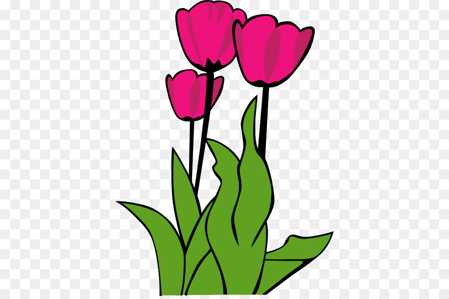 Libre De Contenido，Tulipa Gesneriana PNG