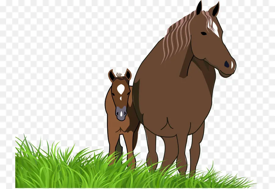 Caballos，Madre PNG