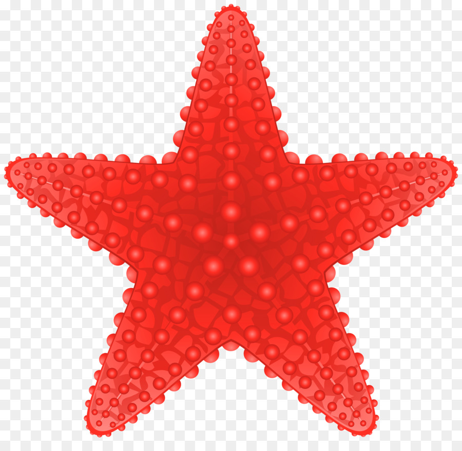 Estrella De Mar Roja，Mar PNG