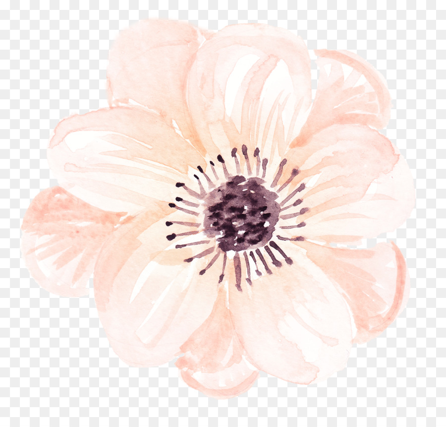 Flor，Florecer PNG