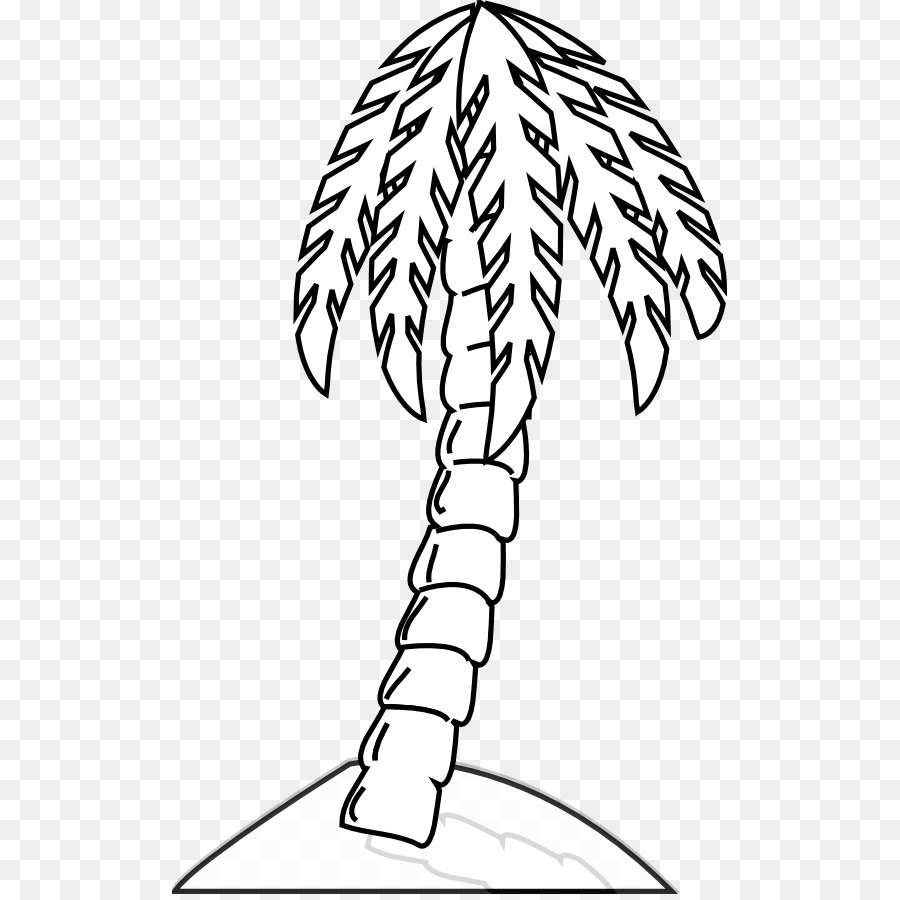 Arecaceae，árbol PNG