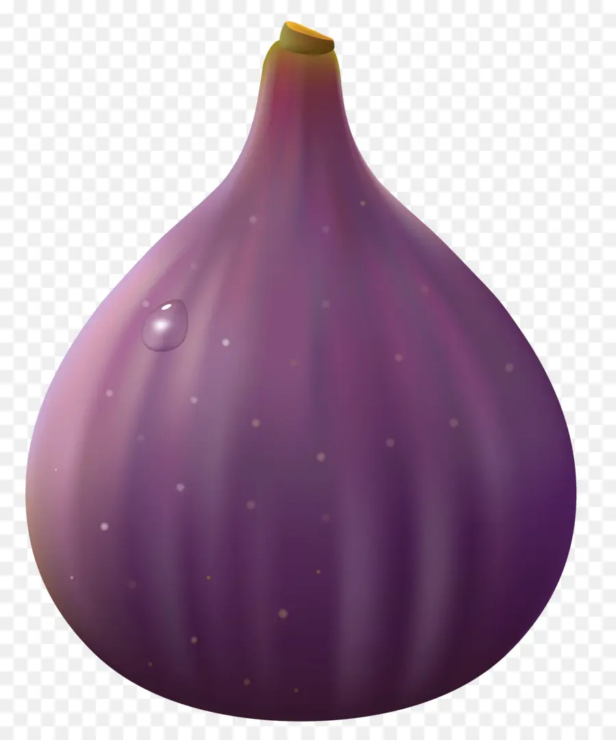 Figio De La Misión，Dibujo PNG