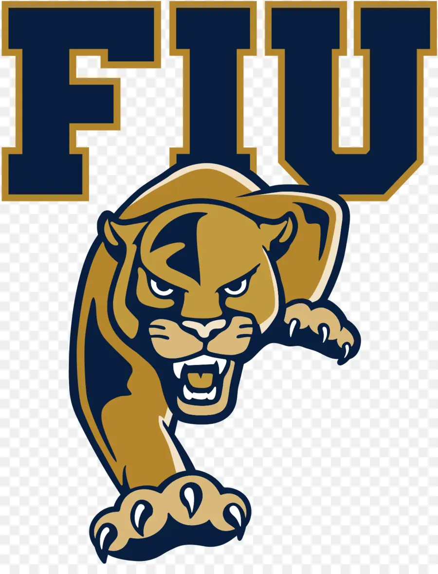 Fiu Panteras De Fútbol，Florida Atlantic Owls De Fútbol PNG