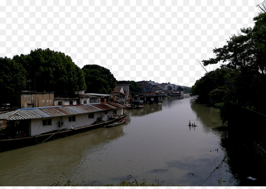 Tongli，Diseñador PNG