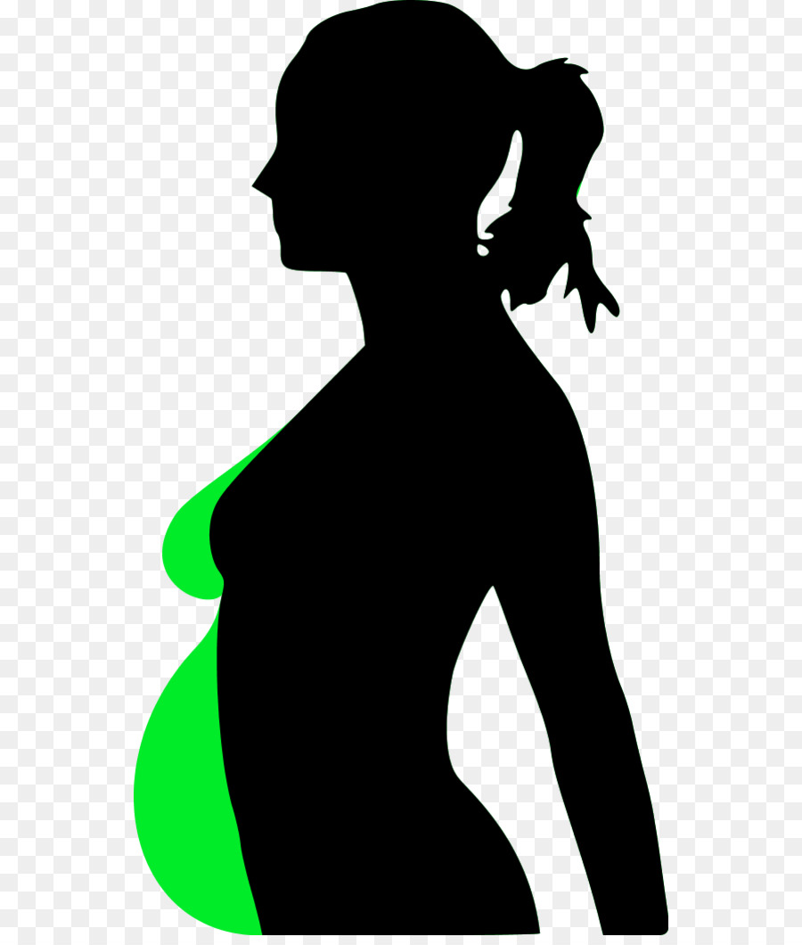 El Embarazo，Mujer PNG