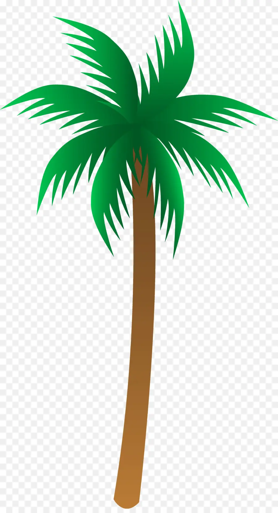 Arecaceae，árbol PNG