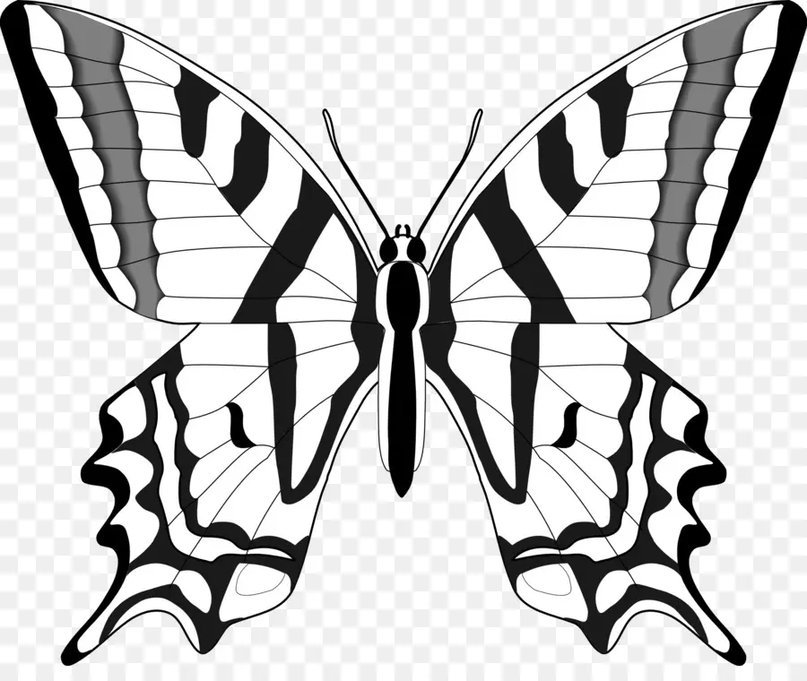 Mariposa，En Blanco Y Negro PNG